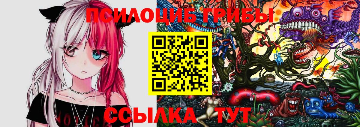 Псилоцибиновые грибы MAGIC MUSHROOMS Черногорск