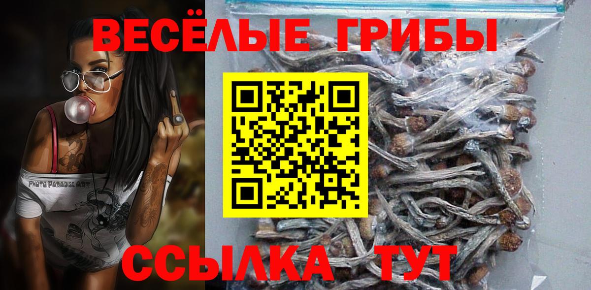 даркнет сайт  Вход с VPN  Черногорск  Галлюциногенные грибы мицелий 