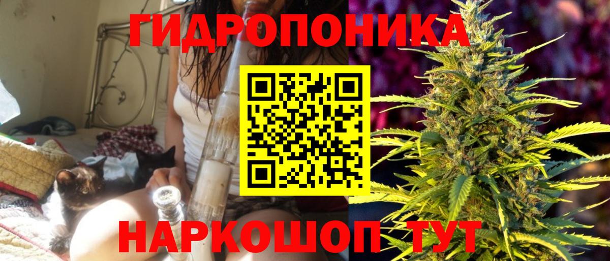 Марихуана план Черногорск